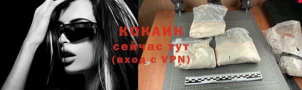 стаф Балахна